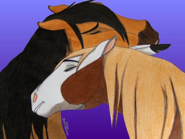 Спирит душа прерий для срисовки