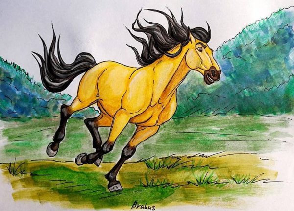 Спирит рисунок