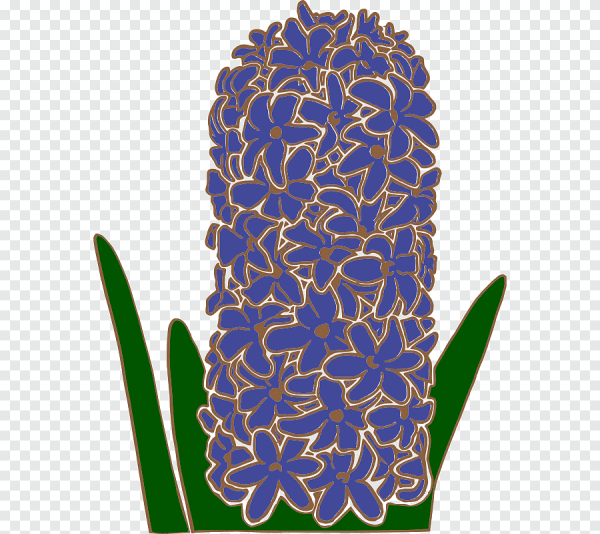 Гиацинт акварелью Андрияки