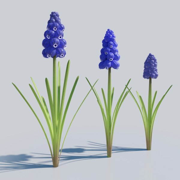 Букет гиацинтов рисунок