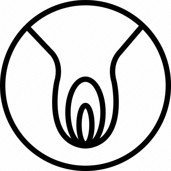 Красивая пизденка рисунок