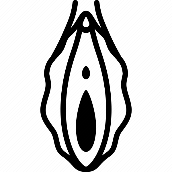 Рисунок вульвы акварель