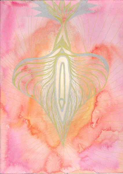 Строение вульвы рисунок