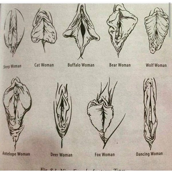 Йони цветок