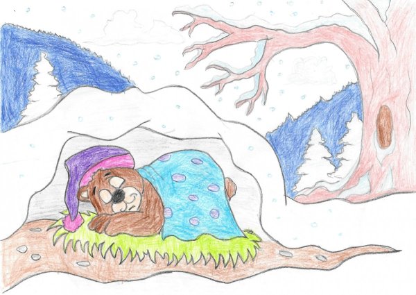 Рисование медведь в берлоге