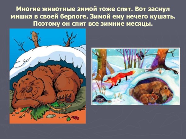 Медвежонок в берлоге