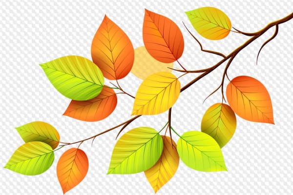 Ветка осенних листьев