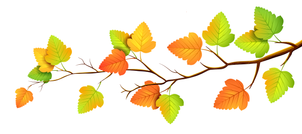 Осенние листья на прозрачном фоне