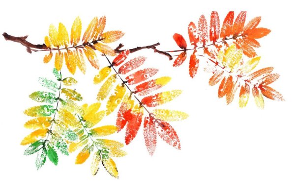 Осенние веточки акварель