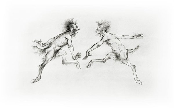 Анатомия фавна