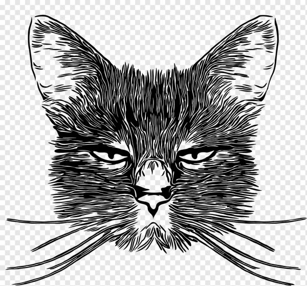 Кот Графика