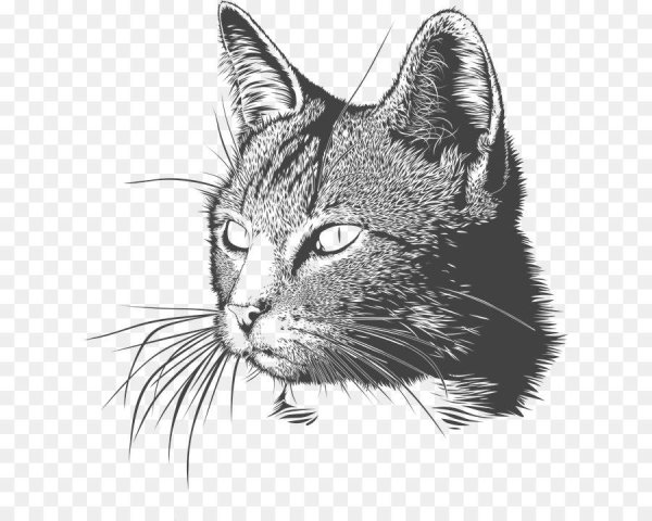 Стилизованные коты