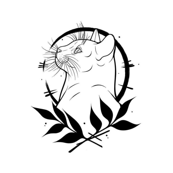 Эскиз тату сфинкс кот