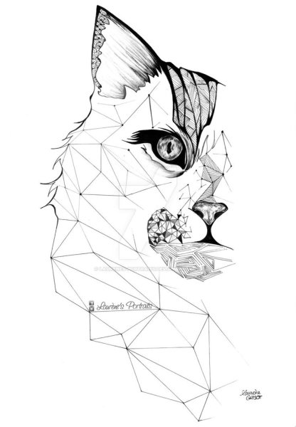 Котики Графика