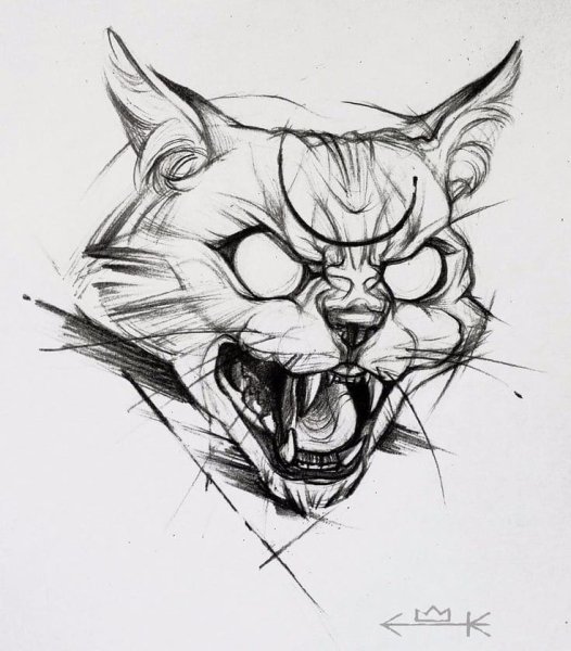 Кот в графике