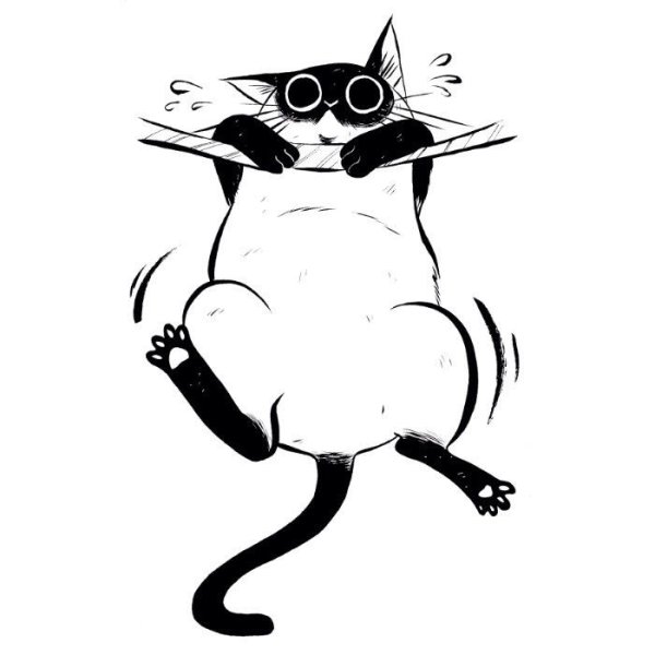 Кот Графика