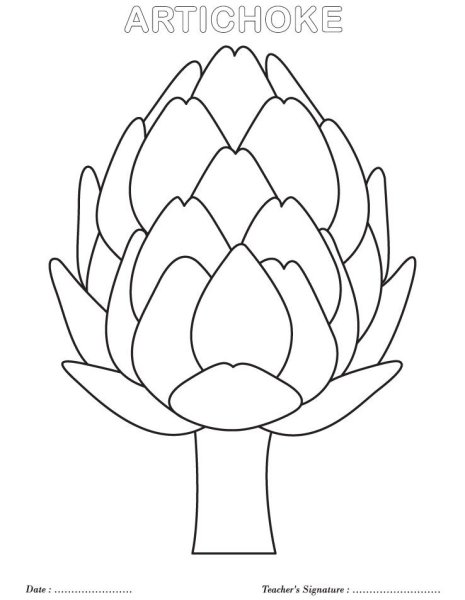 Артишок раскраска