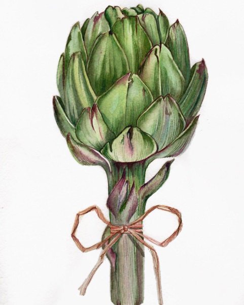 Артишок Фузион