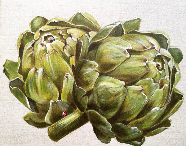 Артишок арт