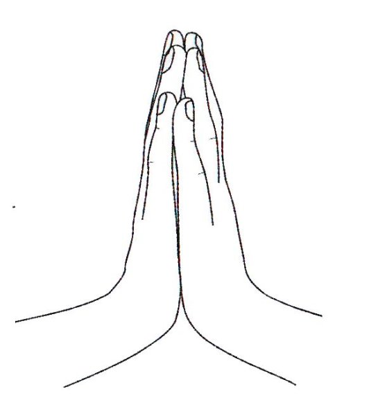 Анджали мудра