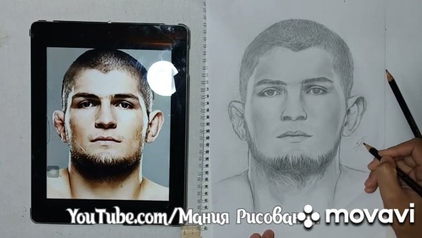 Арты Хабиба Нурмагомедова