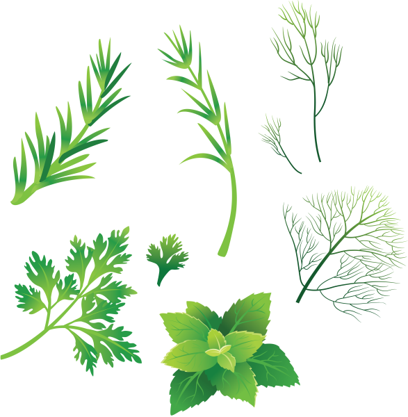 Трава рисунок