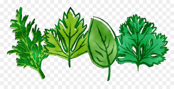 Зелень нарисованная