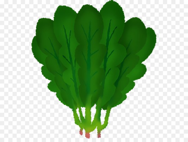 Зелень рисунок для детей