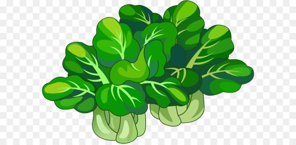 Зелень иллюстрация