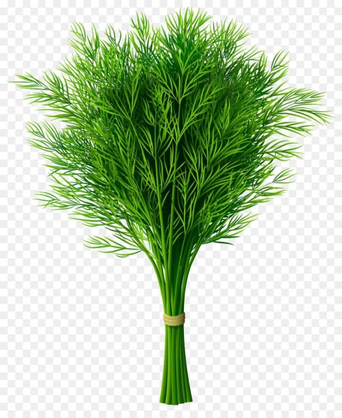 Укроп Стардаст