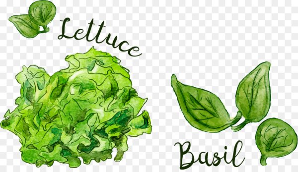 Зелень нарисованная