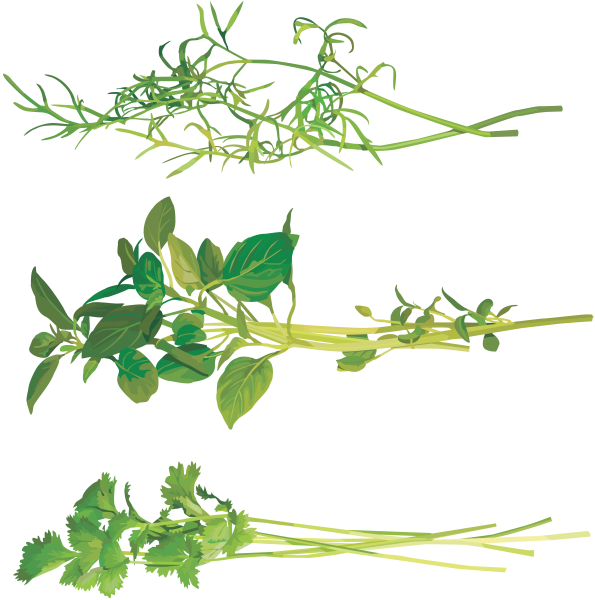 Микрозелень веточка