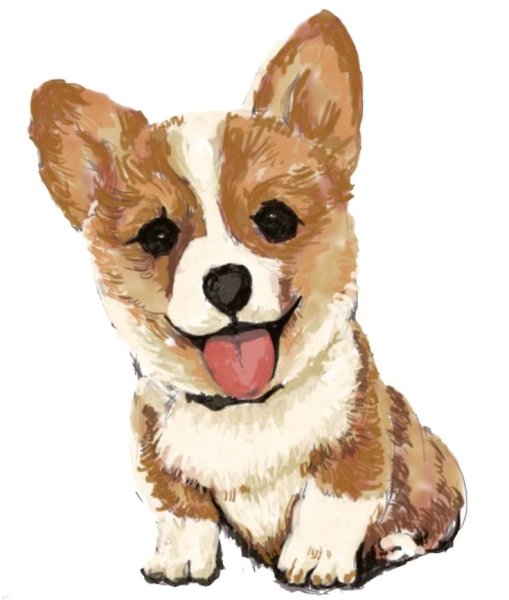 Мордочка собачки корги