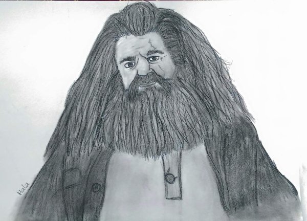 Северус Дамблдор,Хагрид