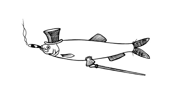 Килька рисунок