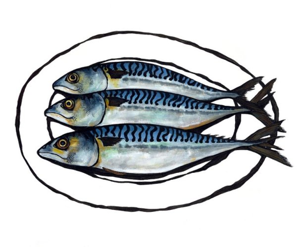 Селедка нарисованная