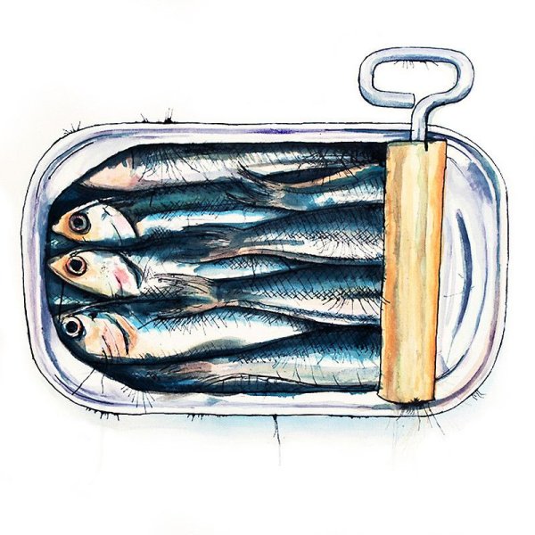 Минтай вектор