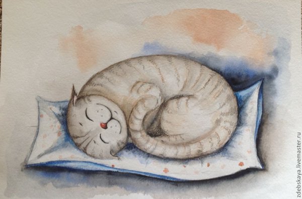 Спящий кот рисунок