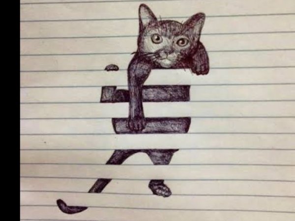 Крутые коты для срисовки