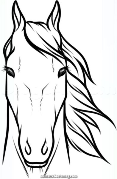 Рисование морды лошади
