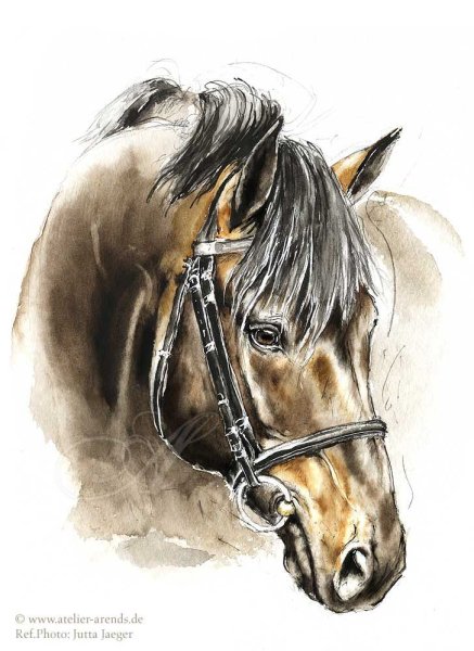 Лицо лошади акварелью