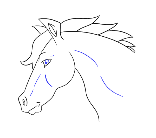 Нарисовать голову лошади