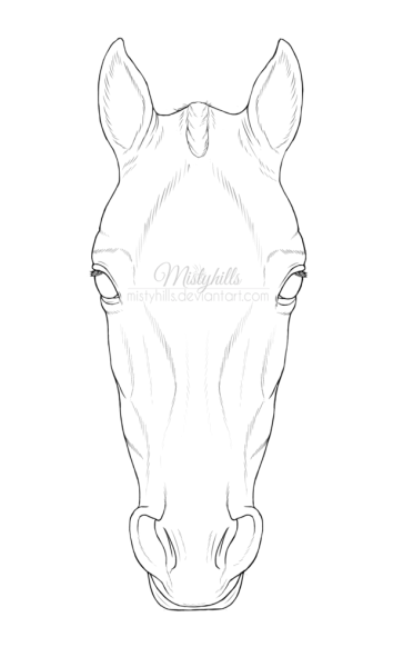 Голова лошади спереди