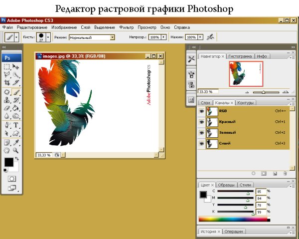 Растровый редактор Adobe Photoshop