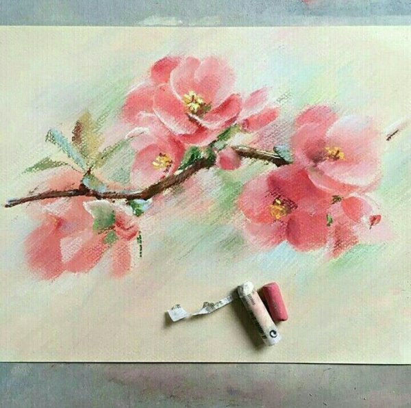 Креативные цветы пастелью