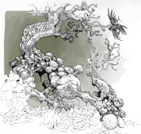 Давид Бонацци картины