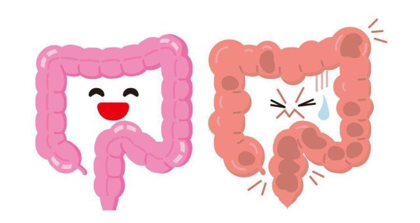 Кишечник рисунок