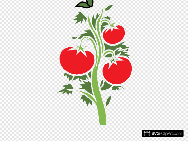 Помидор черри svg