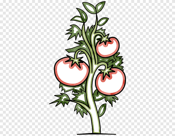 Стилизация помидора