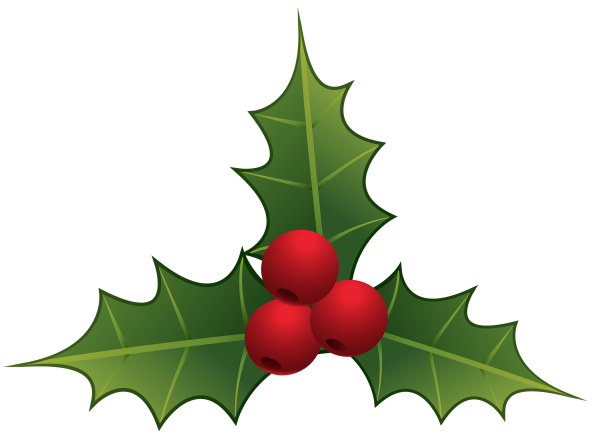 Ветка падуба